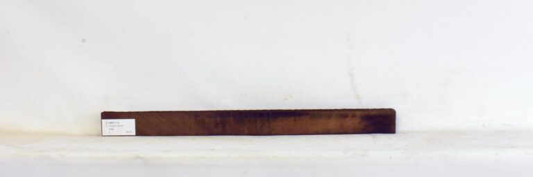 IMB1173_1