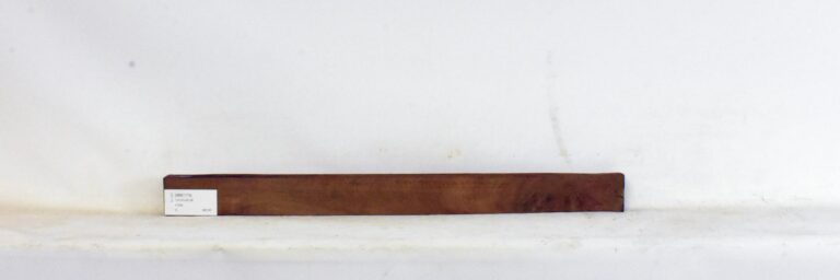 IMB1179_1