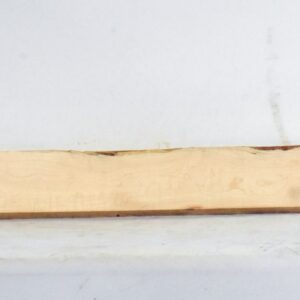 MAPCS1455_1
