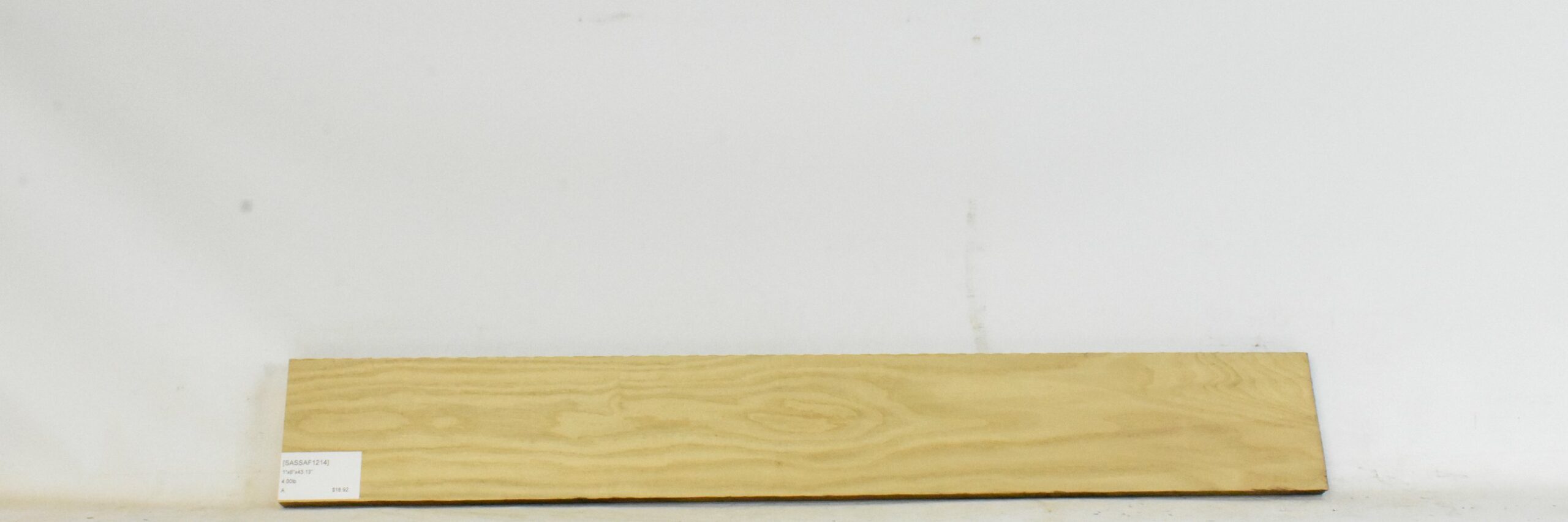 Sassafras 2 SASSAF1214_2