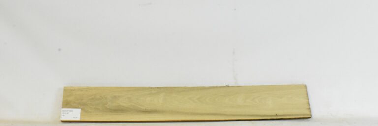 SASSAF1220_1