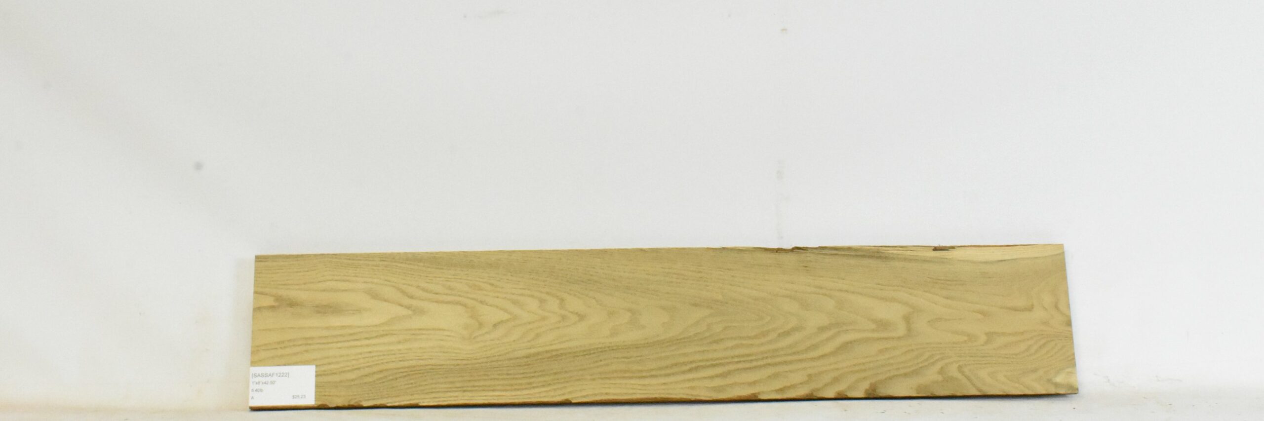 Sassafras 2 SASSAF1222_2
