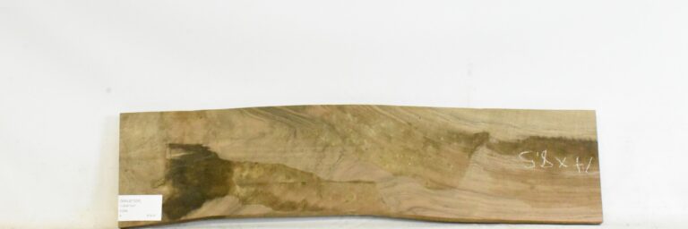 Walnut - English 3 WALE1004_1
