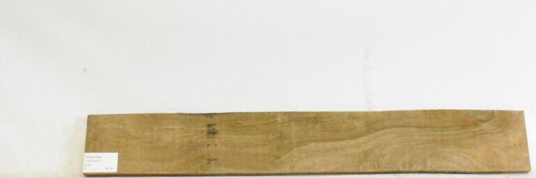 Walnut - English 11 WALE1008_1