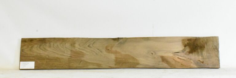 Walnut - English 5 WALE1014_1