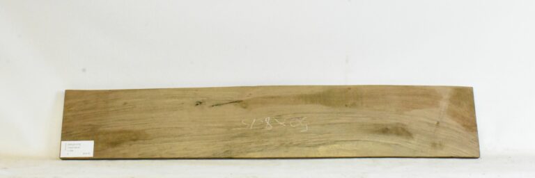 Walnut - English 4 WALE1015_1