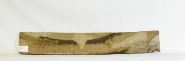 Walnut - English 1 WALE1018_1