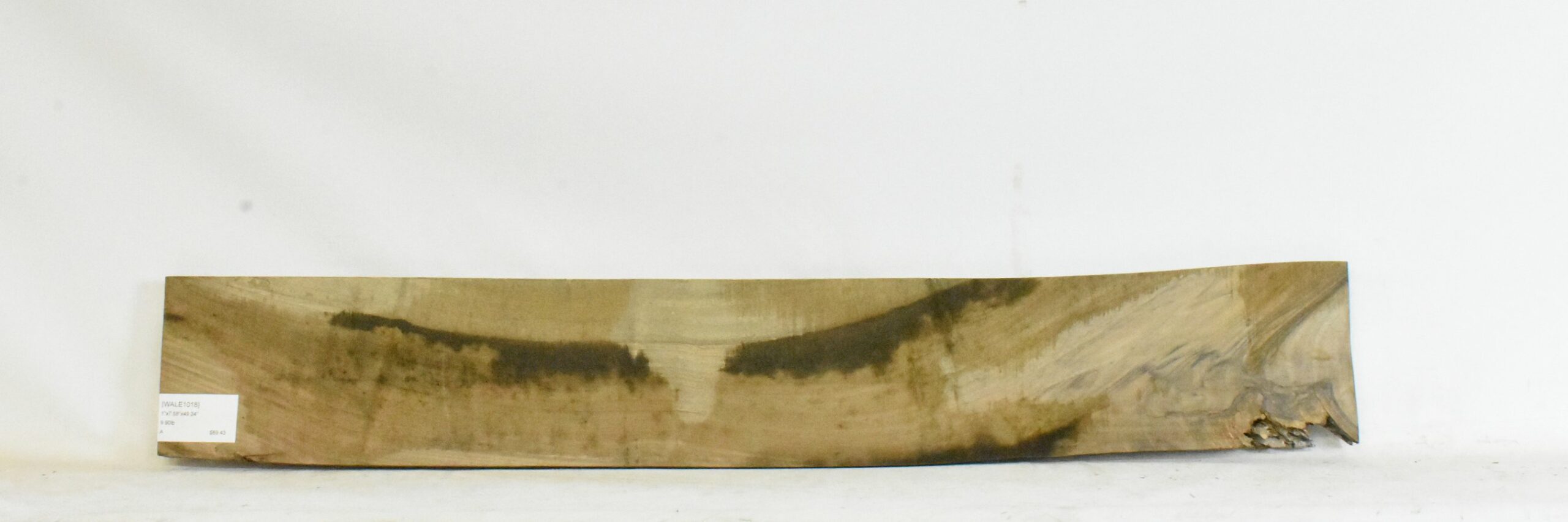 Walnut - English 1 WALE1018_1