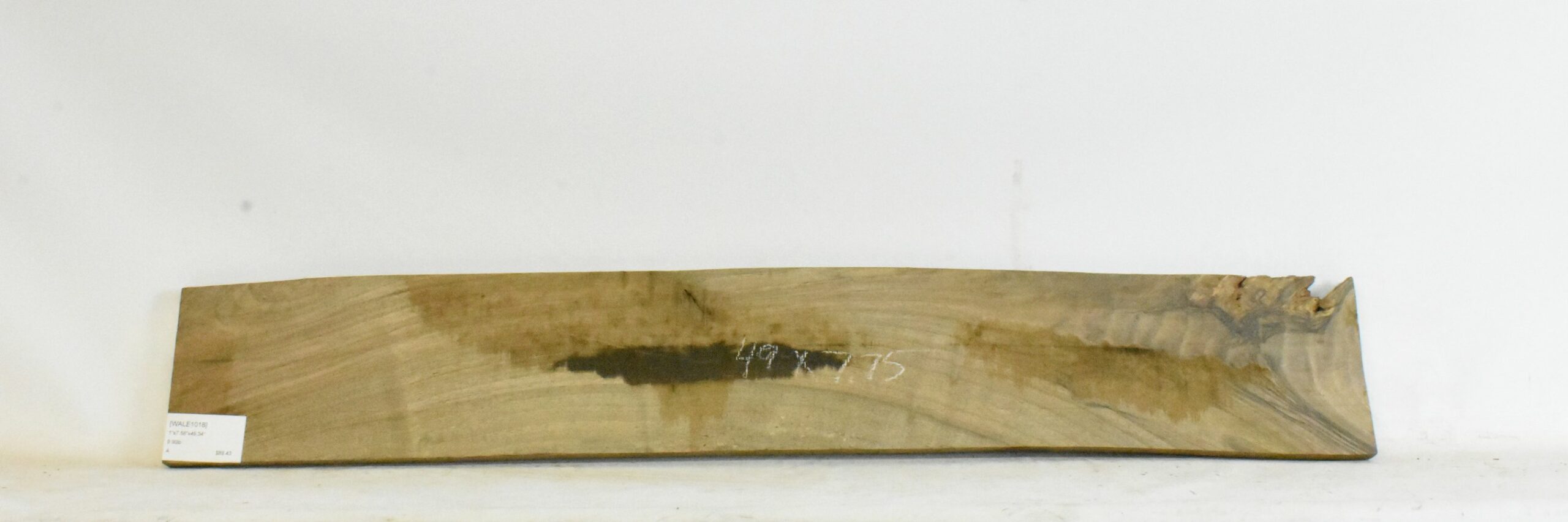 Walnut - English 2 WALE1018_2