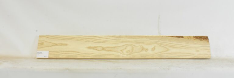 Ash - American 11 ASH1320_1