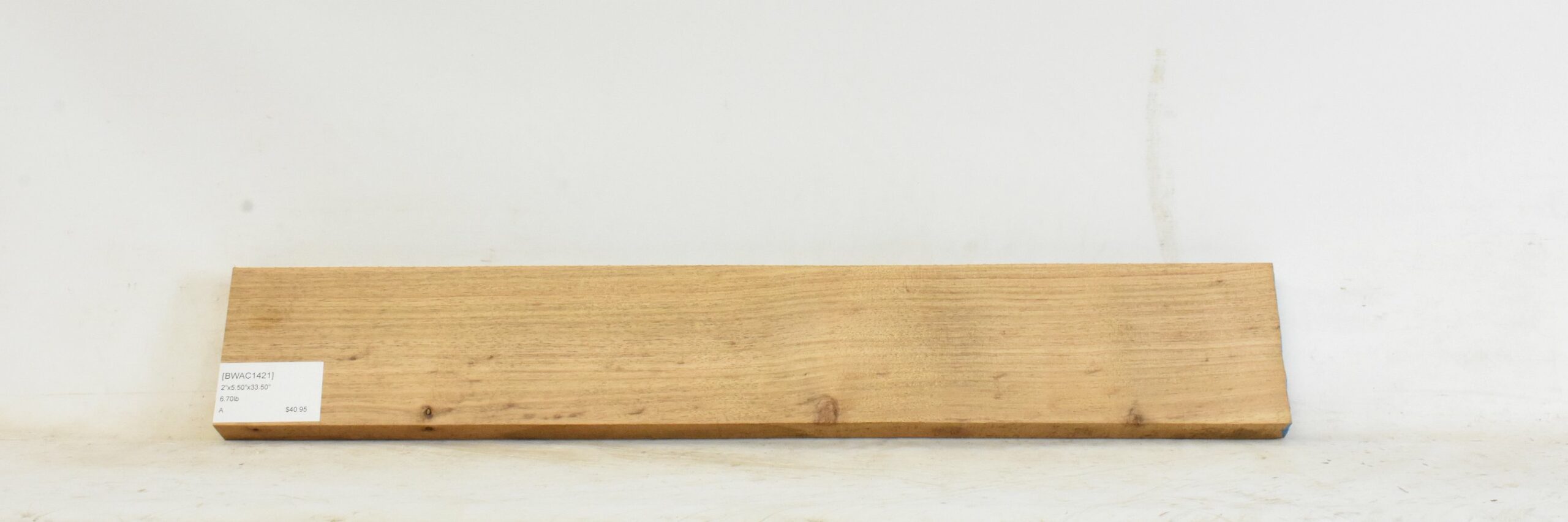 Blackwood - Acacia 1 BWAC1421_1