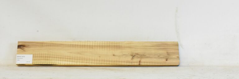 Blackwood - Acacia 3 BWAC1423_1