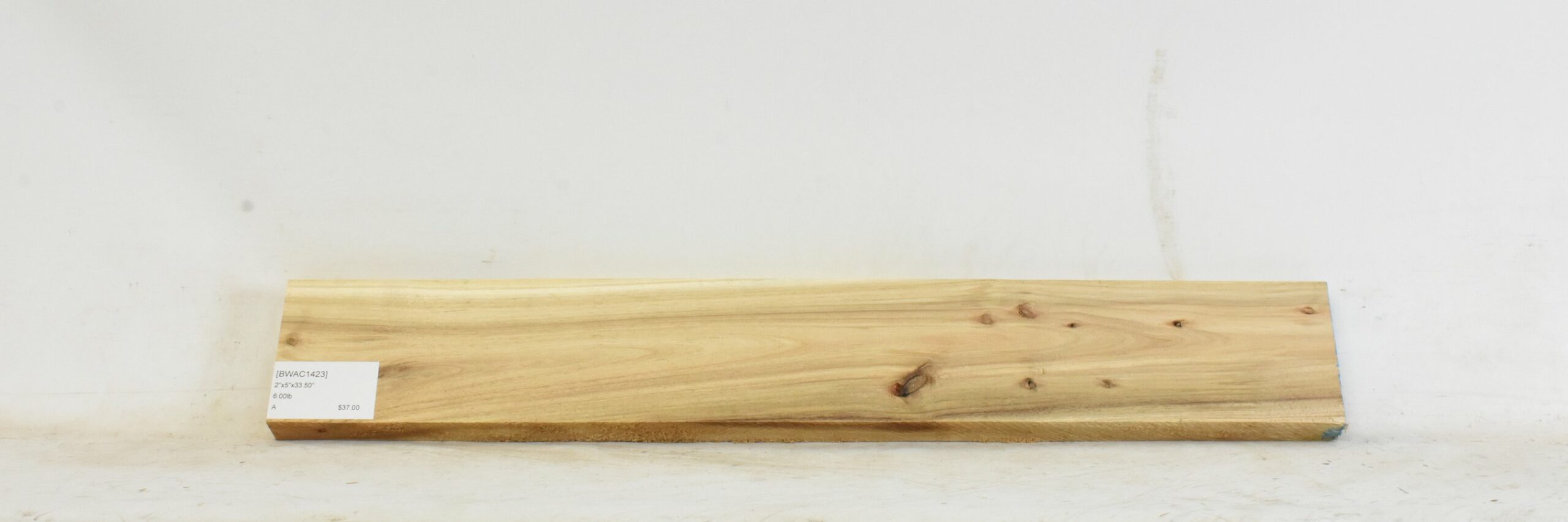 Blackwood - Acacia 2 BWAC1423_2