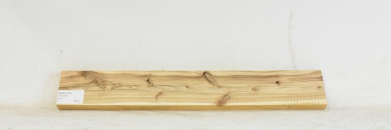 Blackwood - Acacia 2 BWAC1424_1