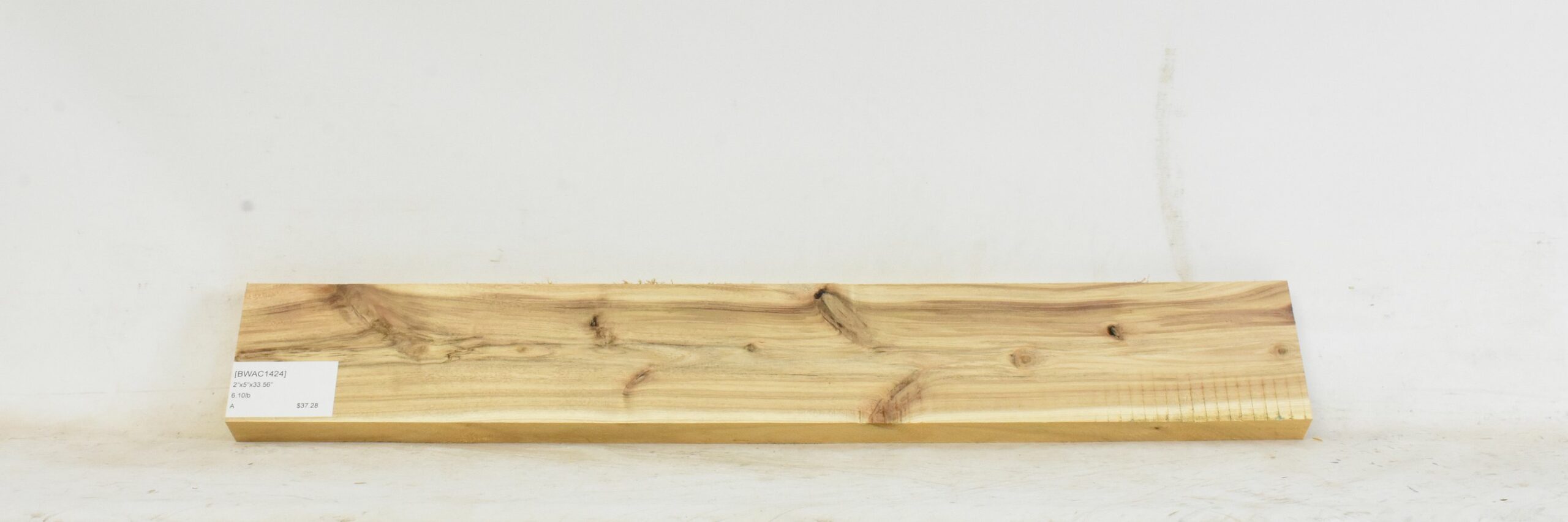 Blackwood - Acacia 1 BWAC1424_1