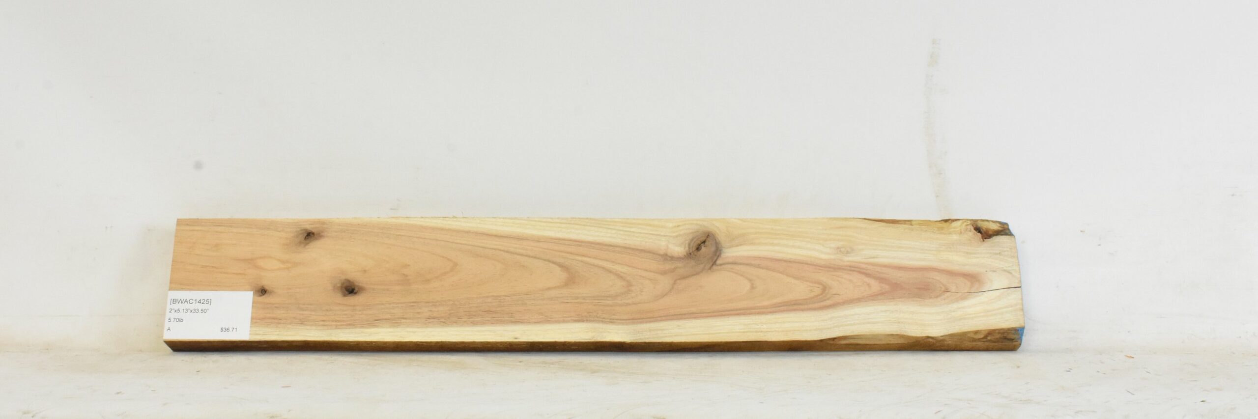 Blackwood - Acacia 1 BWAC1425_1