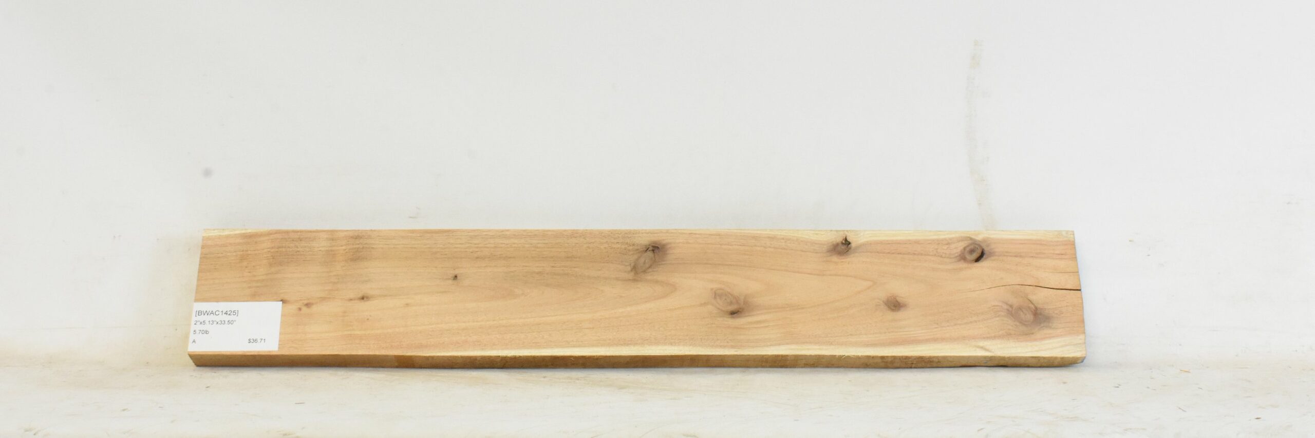 Blackwood - Acacia 2 BWAC1425_2