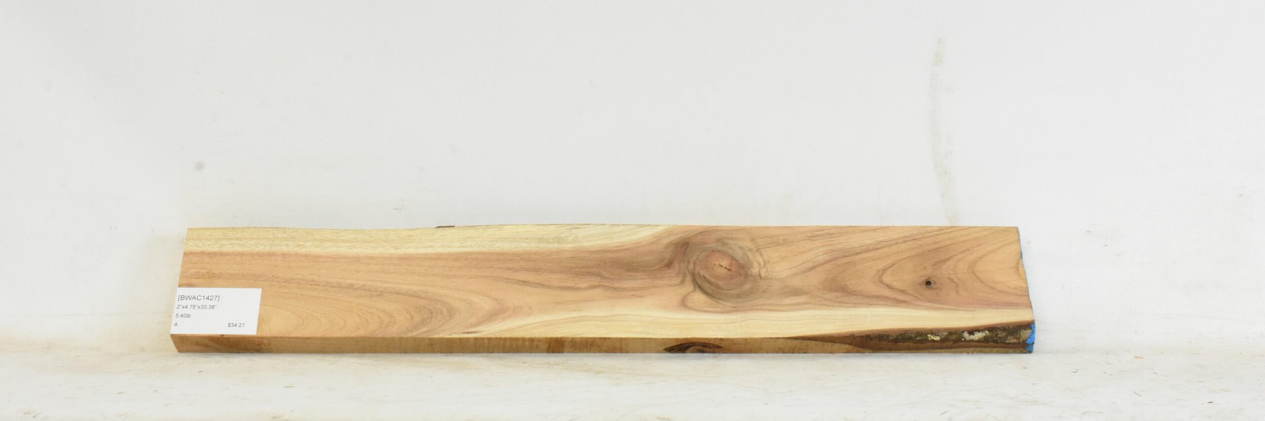 Blackwood - Acacia 1 BWAC1427_1