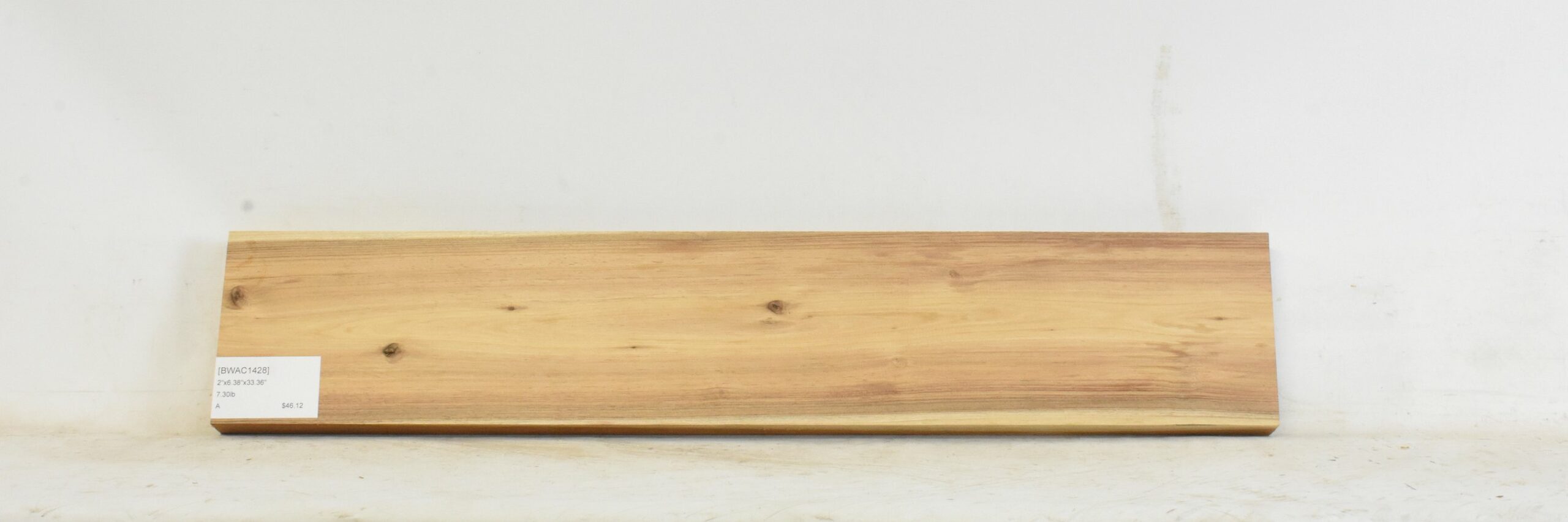 Blackwood - Acacia 1 BWAC1428_1