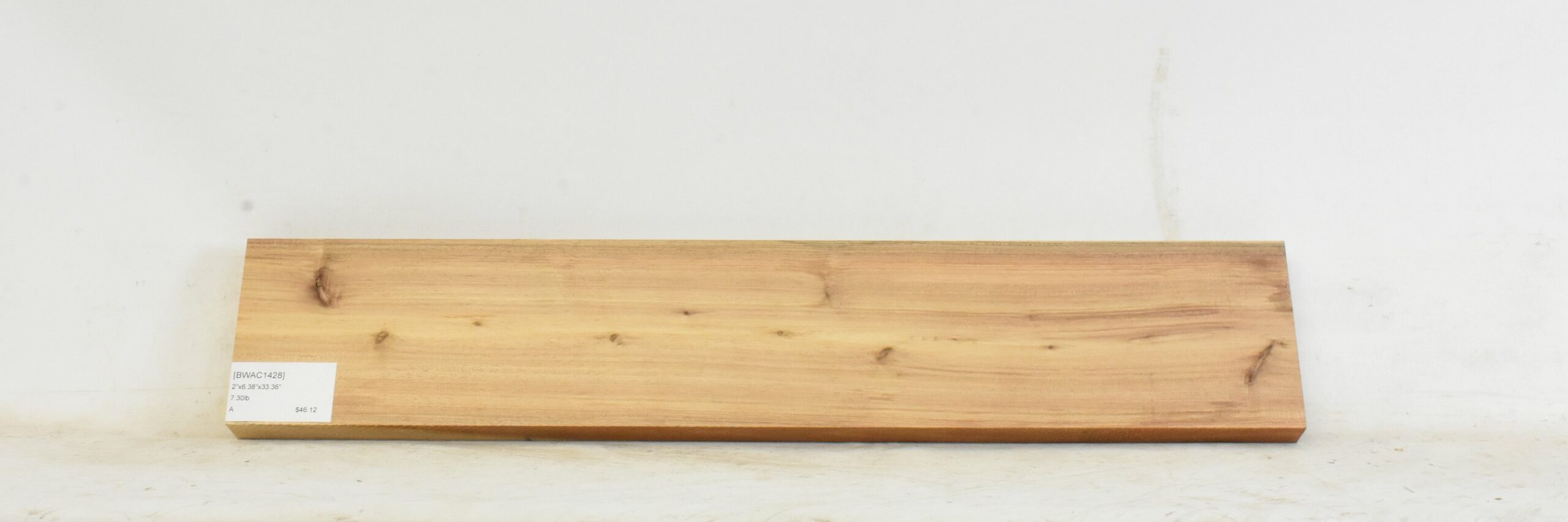Blackwood - Acacia 2 BWAC1428_2