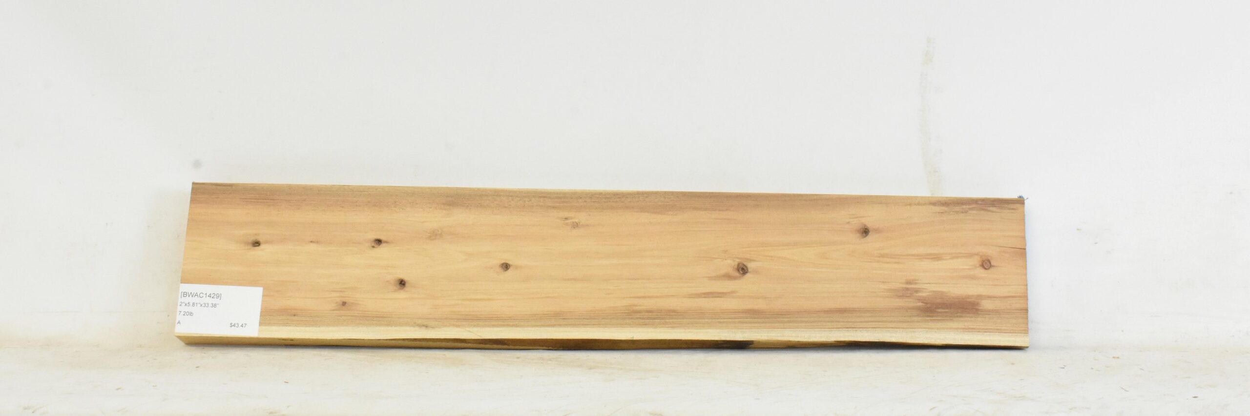 Blackwood - Acacia 1 BWAC1429_1