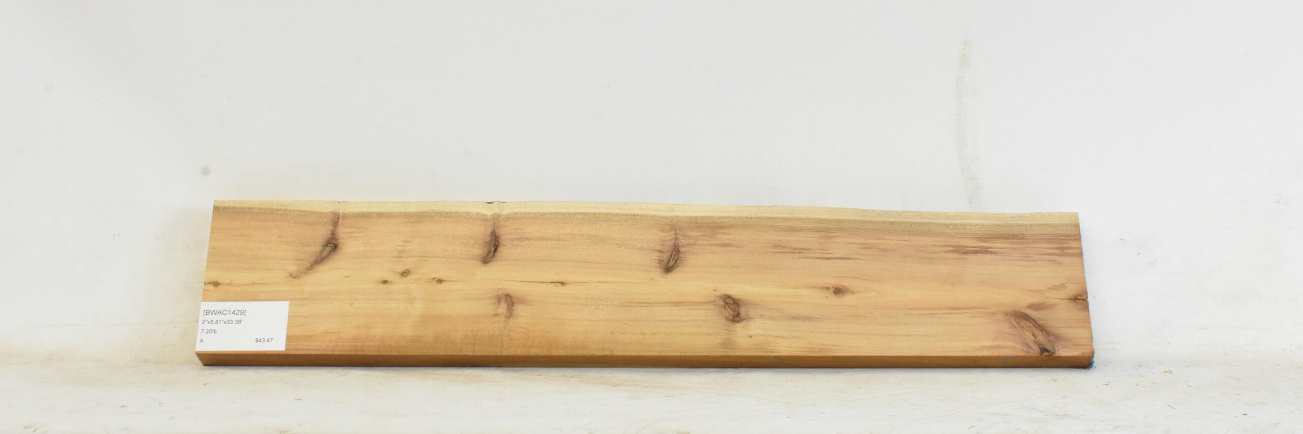 Blackwood - Acacia 2 BWAC1429_2