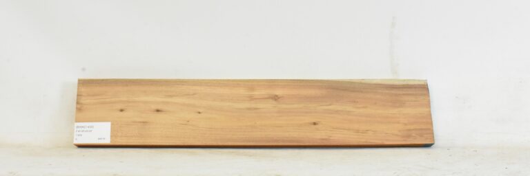 Blackwood - Acacia 8 BWAC1430_1