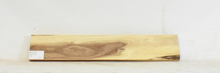 Blackwood - Acacia 7 BWAC1431_1