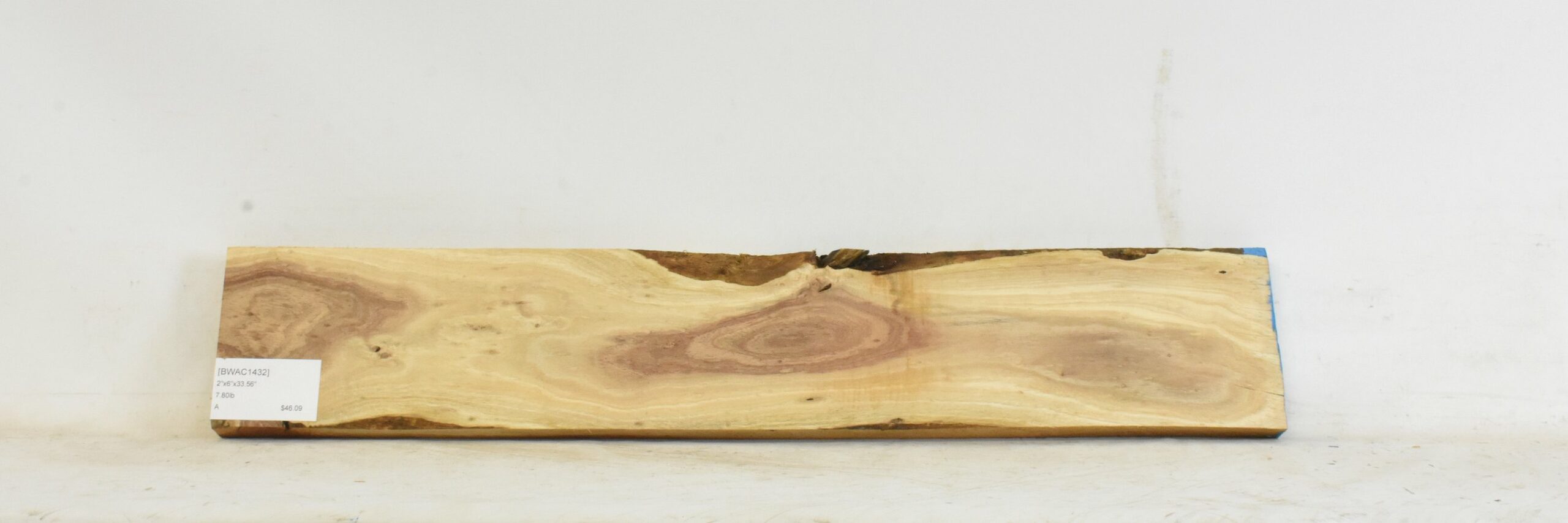 Blackwood - Acacia 1 BWAC1432_1