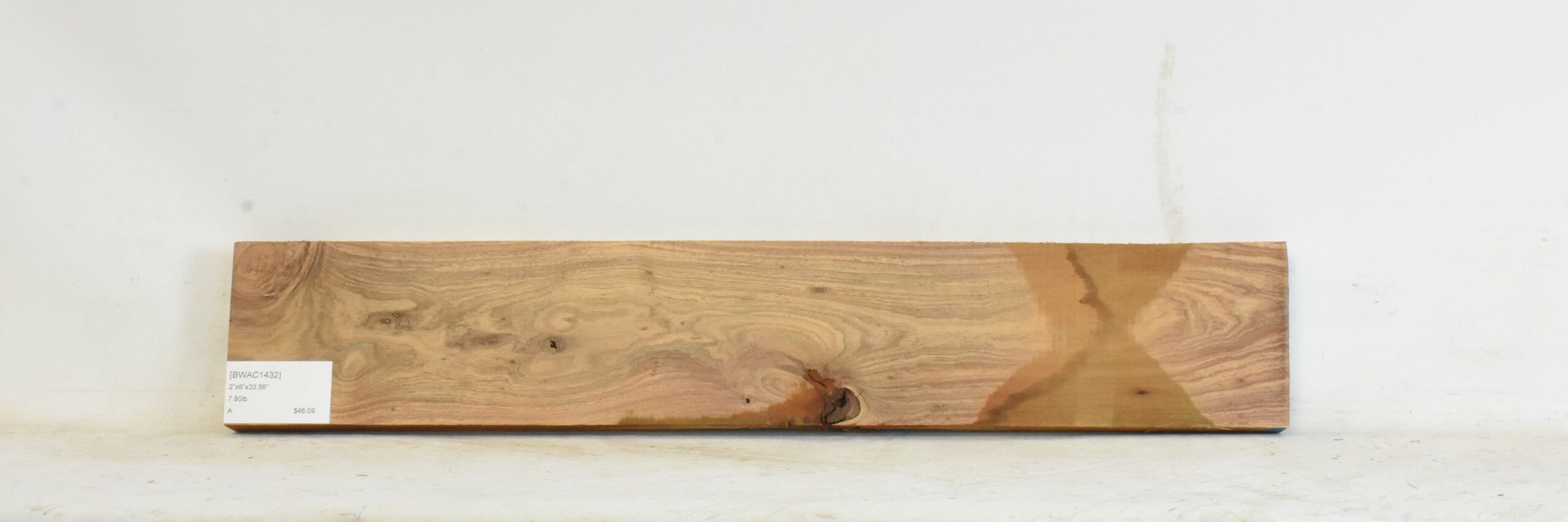 Blackwood - Acacia 2 BWAC1432_2