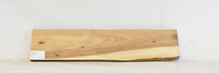 Blackwood - Acacia 4 BWAC1434_1