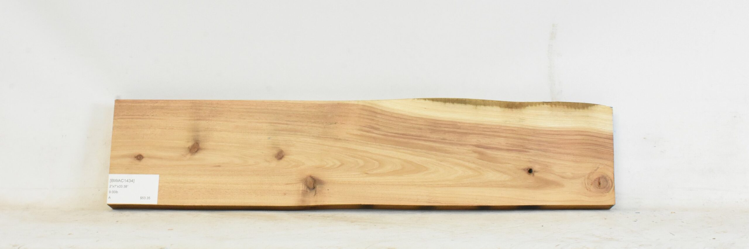 Blackwood - Acacia 2 BWAC1434_2