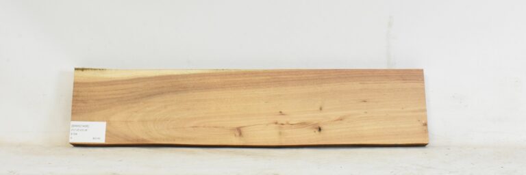 Blackwood - Acacia 3 BWAC1435_1