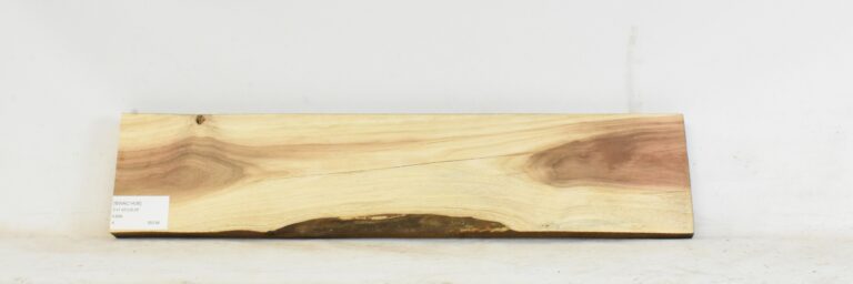 Blackwood - Acacia 2 BWAC1436_1