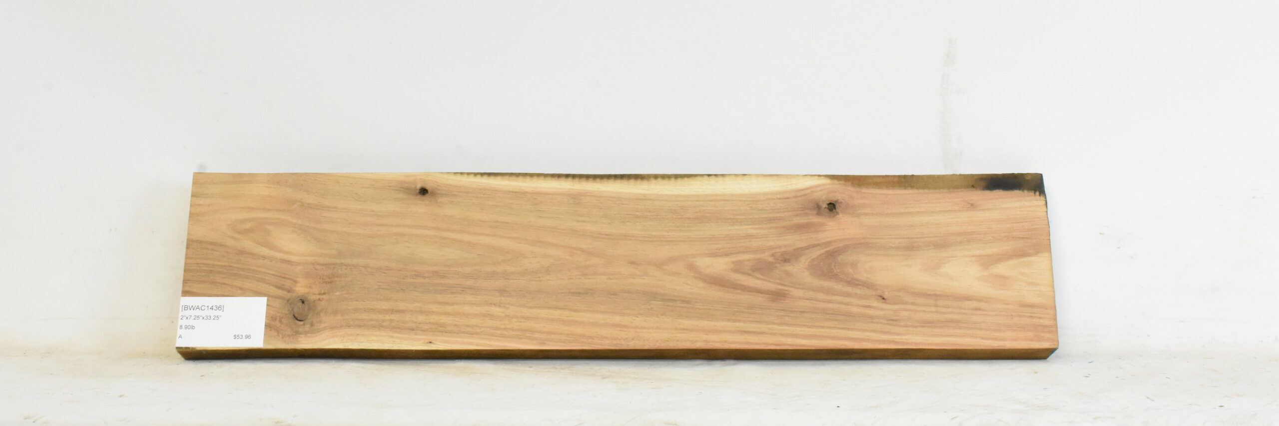 Blackwood - Acacia 2 BWAC1436_2