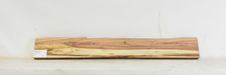 Blackwood - Acacia 1 BWAC1437_1