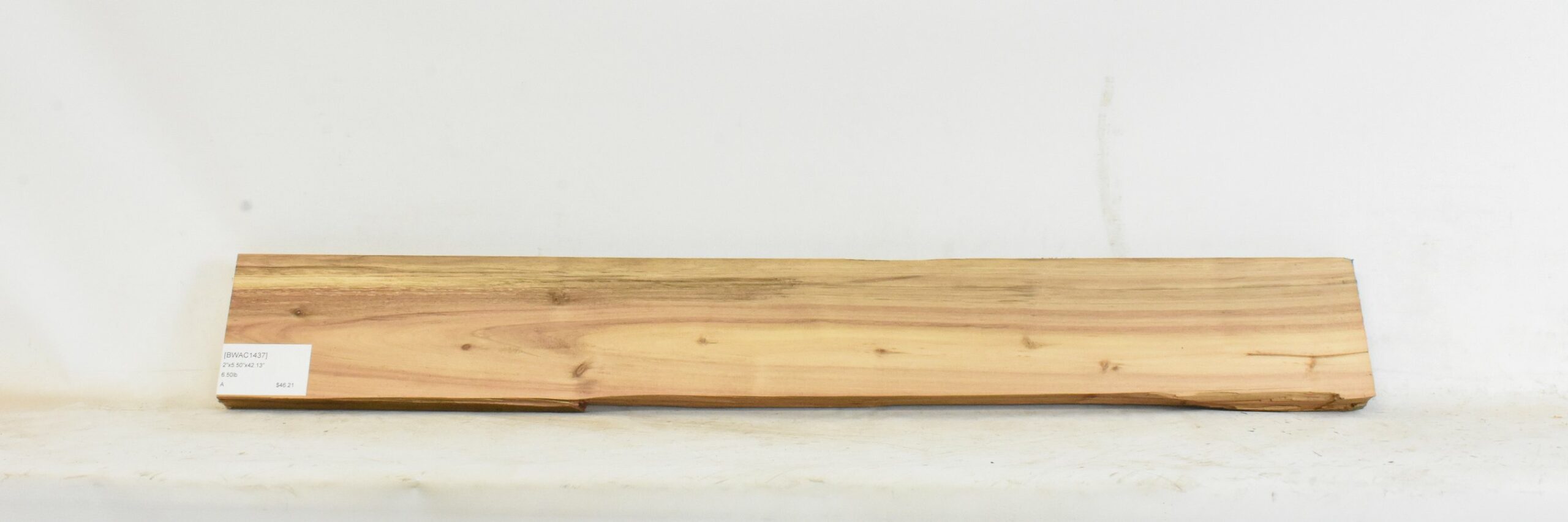 Blackwood - Acacia 2 BWAC1437_2