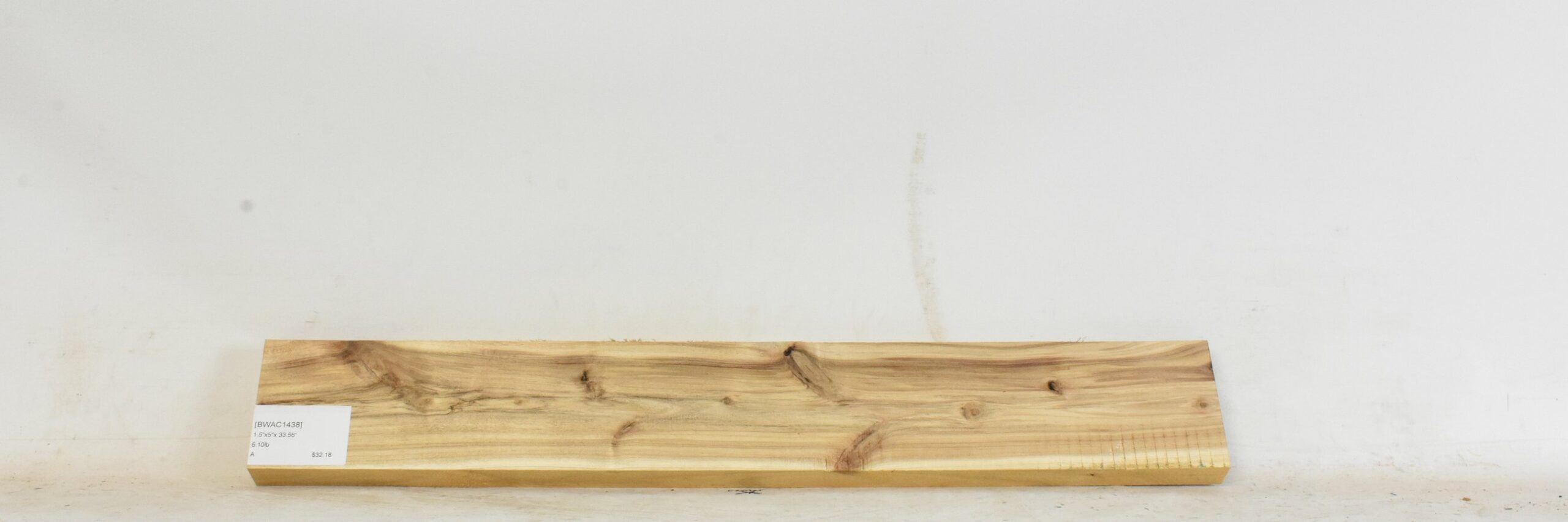 Blackwood - Acacia 1 BWAC1438_1