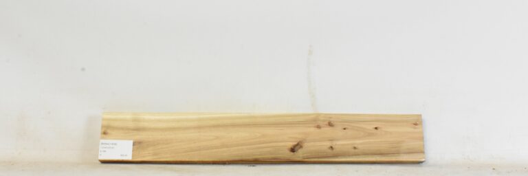 Blackwood - Acacia 7 BWAC1439_1