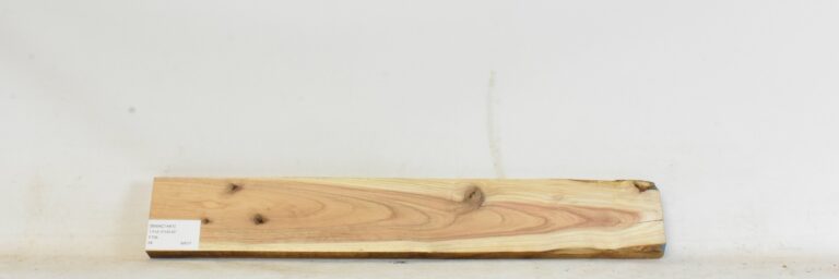 Blackwood - Acacia 5 BWAC1441_1