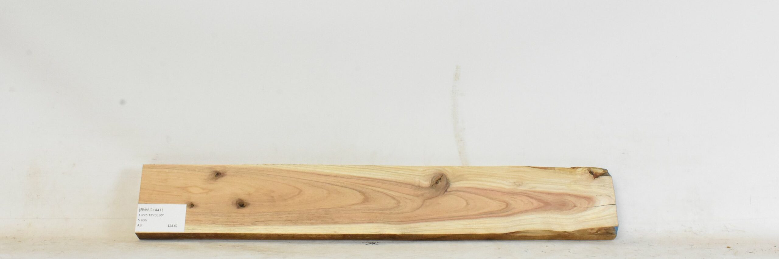 Blackwood - Acacia 1 BWAC1441_1