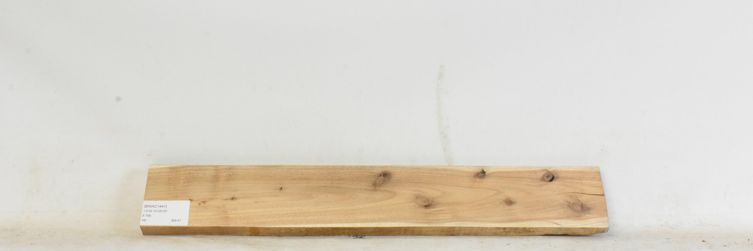 Blackwood - Acacia 2 BWAC1441_2