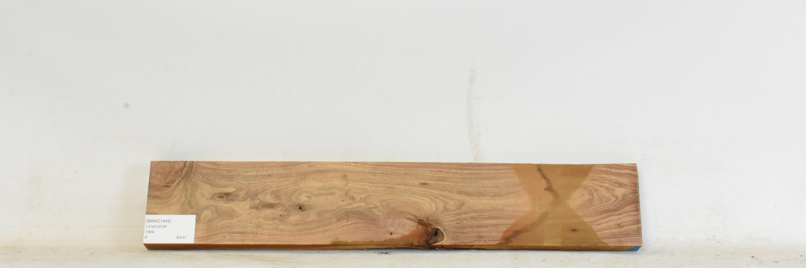 Blackwood - Acacia 2 BWAC1443_2