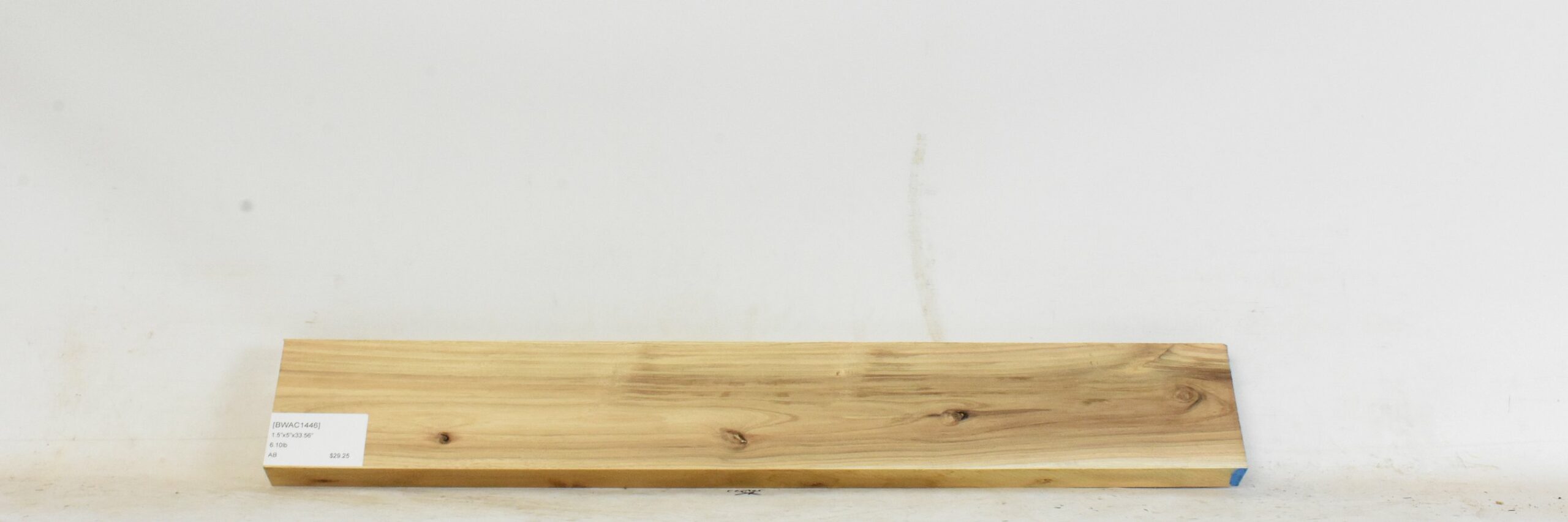 Blackwood - Acacia 2 BWAC1446_2