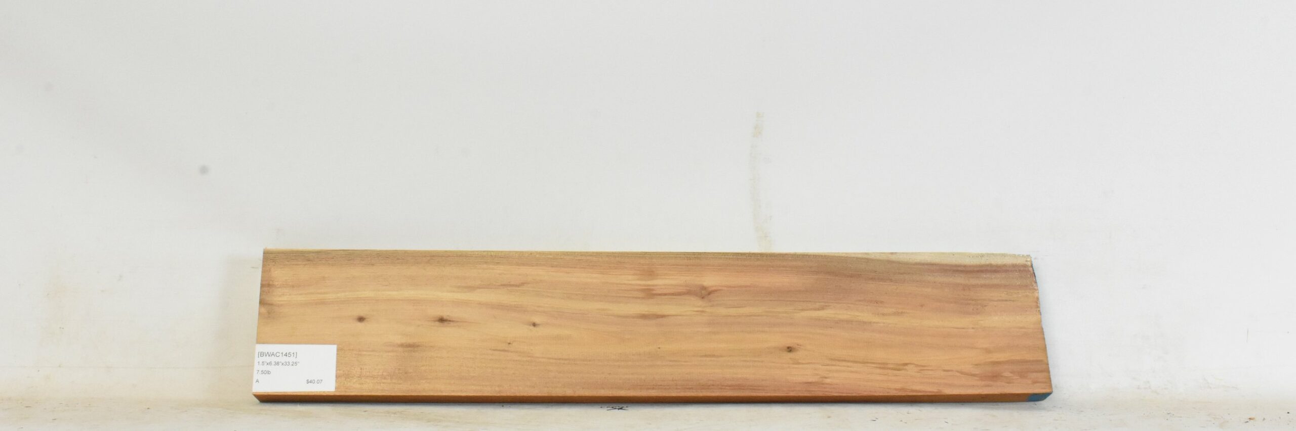 Blackwood - Acacia 1 BWAC1451_1