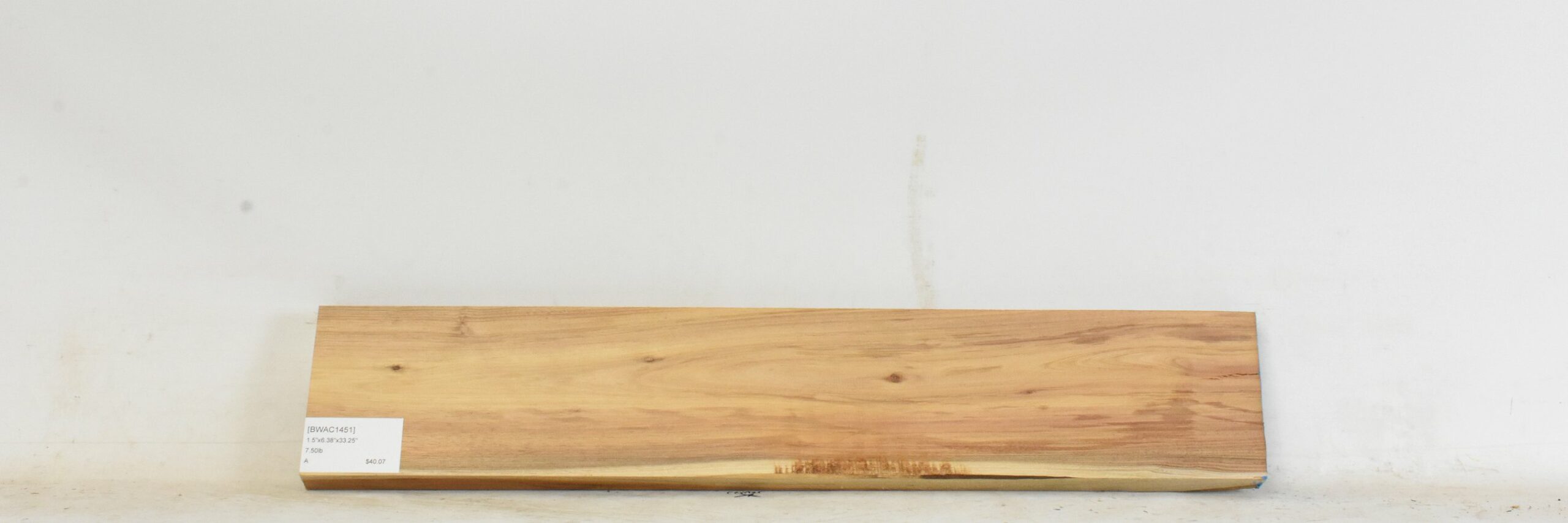 Blackwood - Acacia 2 BWAC1451_2