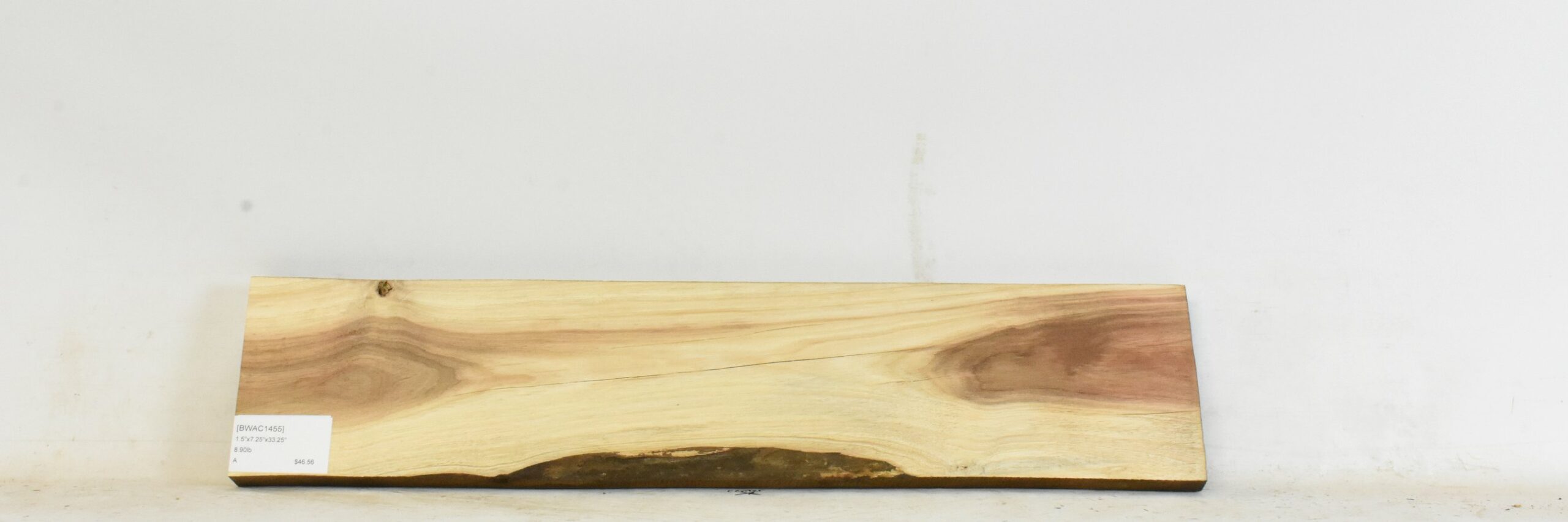 Blackwood - Acacia 2 BWAC1455_2