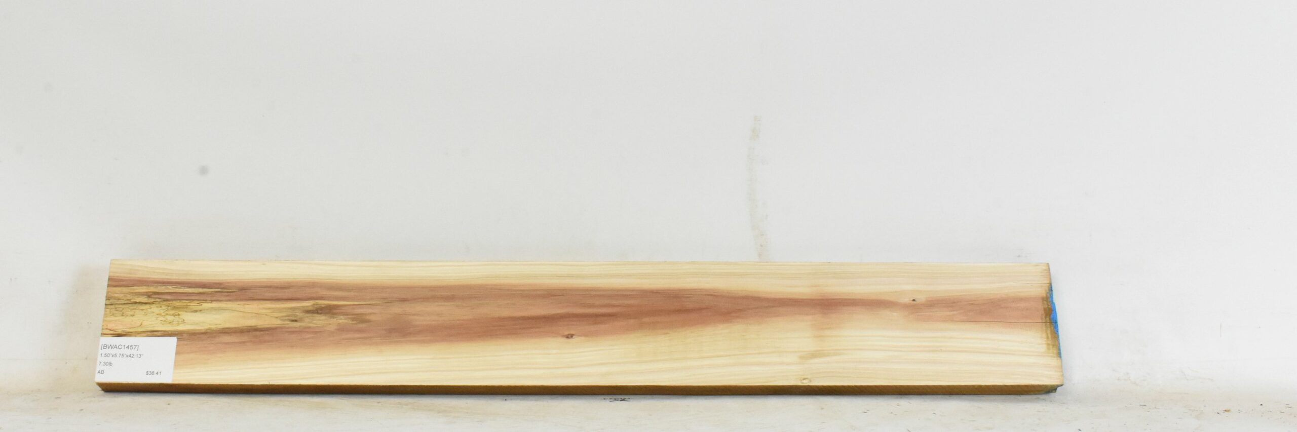 Blackwood - Acacia 1 BWAC1457_1