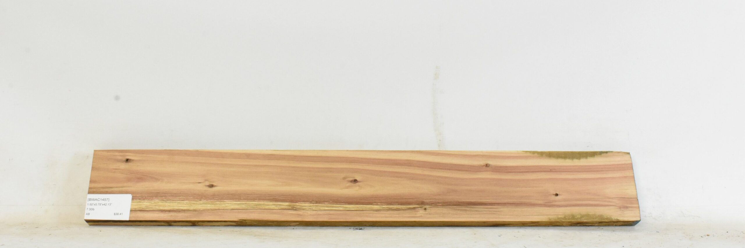 Blackwood - Acacia 2 BWAC1457_2