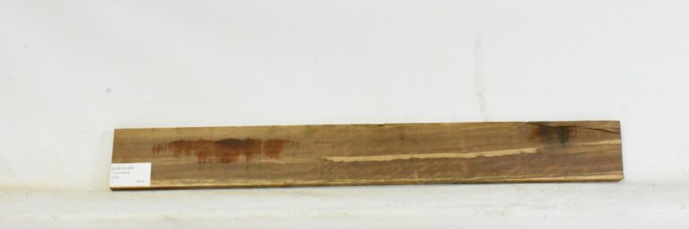 CHECH1407_1